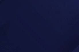 巴萨新星登场攻入制胜球